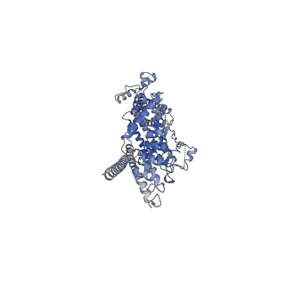 6911_5zbg_D_v1-1
Cryo-EM structure of human TRPC3 at 4.36A resolution