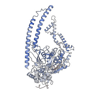 11104_6zca_H_v1-1
Structure of the B. subtilis RNA POLYMERASE in complex with HelD (monomer)
