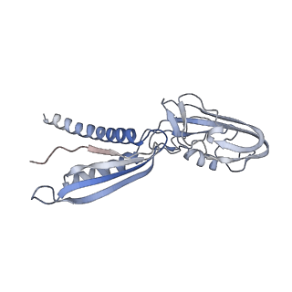 11104_6zca_U_v1-1
Structure of the B. subtilis RNA POLYMERASE in complex with HelD (monomer)