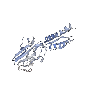 11104_6zca_V_v1-1
Structure of the B. subtilis RNA POLYMERASE in complex with HelD (monomer)