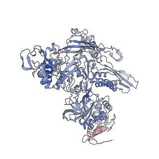 11104_6zca_X_v1-1
Structure of the B. subtilis RNA POLYMERASE in complex with HelD (monomer)