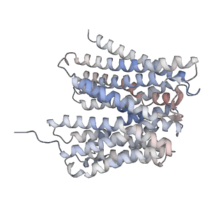 14618_7zc2_A_v1-1
Dipeptide and tripeptide Permease C (DtpC)