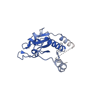 14620_7zc5_B_v1-2
Complex I from E. coli, DDM/LMNG-purified, under Turnover at pH 8, Resting state