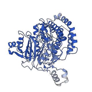14620_7zc5_C_v1-2
Complex I from E. coli, DDM/LMNG-purified, under Turnover at pH 8, Resting state