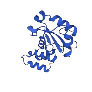 14620_7zc5_E_v1-2
Complex I from E. coli, DDM/LMNG-purified, under Turnover at pH 8, Resting state