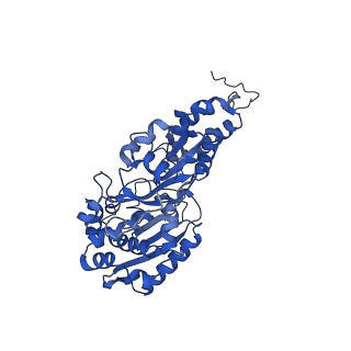 14620_7zc5_F_v1-2
Complex I from E. coli, DDM/LMNG-purified, under Turnover at pH 8, Resting state