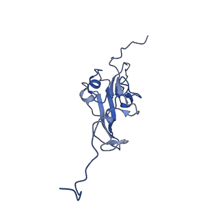 14620_7zc5_I_v1-2
Complex I from E. coli, DDM/LMNG-purified, under Turnover at pH 8, Resting state