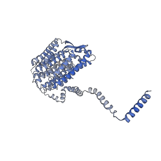 14620_7zc5_L_v1-2
Complex I from E. coli, DDM/LMNG-purified, under Turnover at pH 8, Resting state