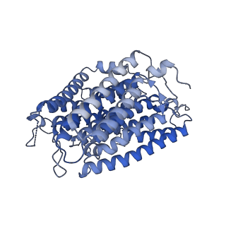 14620_7zc5_N_v1-2
Complex I from E. coli, DDM/LMNG-purified, under Turnover at pH 8, Resting state