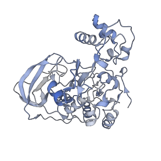 14622_7zc6_C_v1-0
Na+ - translocating ferredoxin: NAD+ reductase (Rnf) of C. tetanomorphum