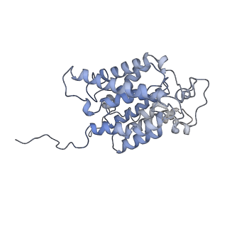 14622_7zc6_D_v1-0
Na+ - translocating ferredoxin: NAD+ reductase (Rnf) of C. tetanomorphum