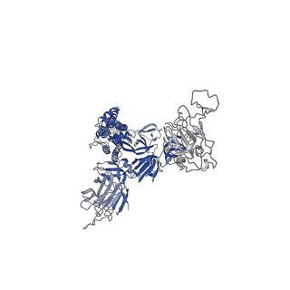 14628_7zce_A_v1-1
SARS-CoV-2 Spike protein in complex with the single chain fragment scFv76