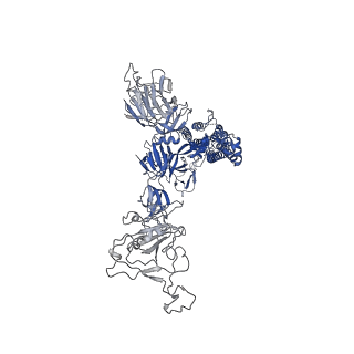 14628_7zce_B_v1-1
SARS-CoV-2 Spike protein in complex with the single chain fragment scFv76