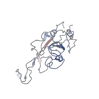 14629_7zcf_C_v1-1
SARS-CoV-2 Spike RBD in complex with the single chain fragment scFv76 (Focused Refinement)