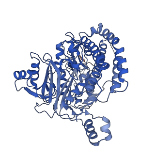 14632_7zci_C_v1-2
Complex I from E. coli, LMNG-purified, under Turnover at pH 6, Resting state