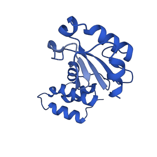 14632_7zci_E_v1-2
Complex I from E. coli, LMNG-purified, under Turnover at pH 6, Resting state