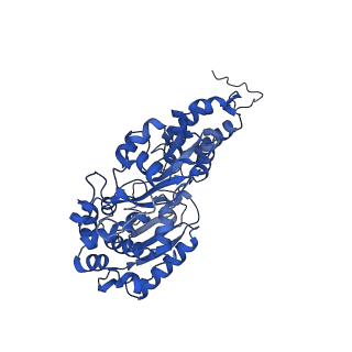 14632_7zci_F_v1-2
Complex I from E. coli, LMNG-purified, under Turnover at pH 6, Resting state