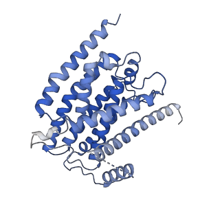 14632_7zci_H_v1-2
Complex I from E. coli, LMNG-purified, under Turnover at pH 6, Resting state