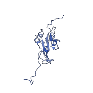 14632_7zci_I_v1-2
Complex I from E. coli, LMNG-purified, under Turnover at pH 6, Resting state