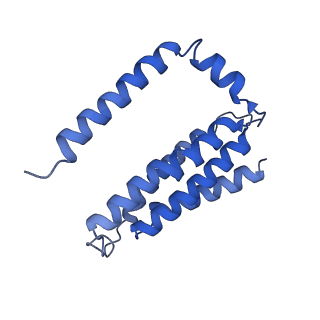 14632_7zci_J_v1-2
Complex I from E. coli, LMNG-purified, under Turnover at pH 6, Resting state