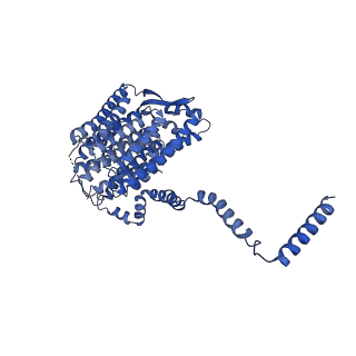 14632_7zci_L_v1-2
Complex I from E. coli, LMNG-purified, under Turnover at pH 6, Resting state