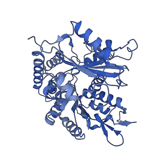 14634_7zcw_A_v1-1
Cryo-EM structure of GMPCPP-microtubules in complex with VASH2-SVBP