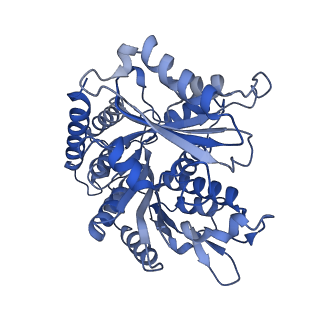 14634_7zcw_B_v1-1
Cryo-EM structure of GMPCPP-microtubules in complex with VASH2-SVBP