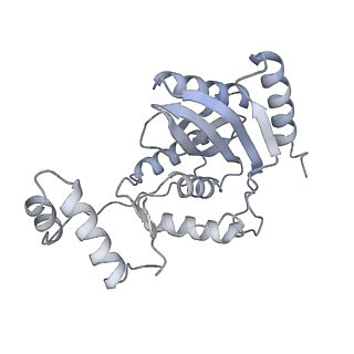 14634_7zcw_C_v1-1
Cryo-EM structure of GMPCPP-microtubules in complex with VASH2-SVBP