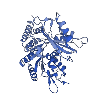 14634_7zcw_E_v1-1
Cryo-EM structure of GMPCPP-microtubules in complex with VASH2-SVBP