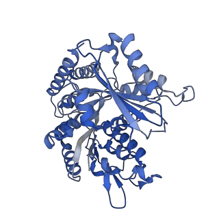 14634_7zcw_F_v1-1
Cryo-EM structure of GMPCPP-microtubules in complex with VASH2-SVBP