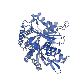 14634_7zcw_G_v1-1
Cryo-EM structure of GMPCPP-microtubules in complex with VASH2-SVBP