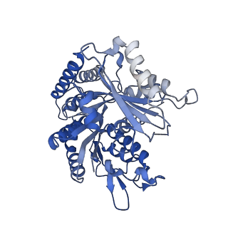14634_7zcw_H_v1-1
Cryo-EM structure of GMPCPP-microtubules in complex with VASH2-SVBP