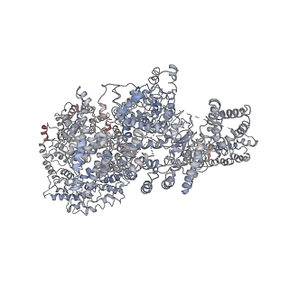 6913_5zcs_B_v1-3
4.9 Angstrom Cryo-EM structure of human mTOR complex 2