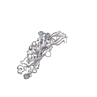11172_6zd0_A_v1-1
Disulfide-locked early prepore intermedilysin-CD59