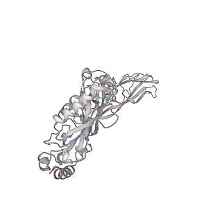 11172_6zd0_C_v1-1
Disulfide-locked early prepore intermedilysin-CD59