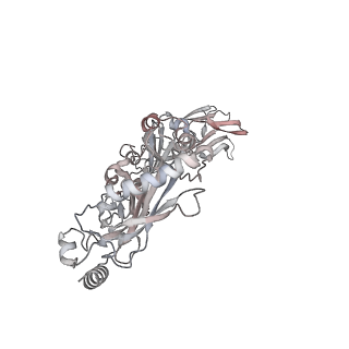11172_6zd0_E_v1-1
Disulfide-locked early prepore intermedilysin-CD59