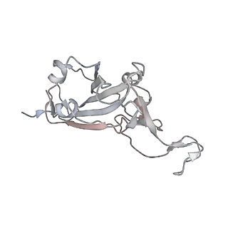 11173_6zdg_D_v1-4
Association of three complexes of largely structurally disordered Spike ectodomain with bound EY6A Fab