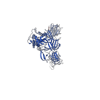 11174_6zdh_A_v1-0
SARS-CoV-2 Spike glycoprotein in complex with a neutralizing antibody EY6A Fab
