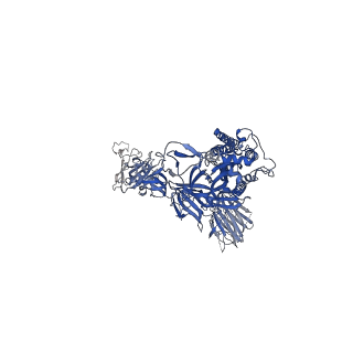 11174_6zdh_B_v1-0
SARS-CoV-2 Spike glycoprotein in complex with a neutralizing antibody EY6A Fab