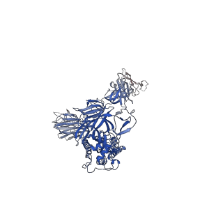 11174_6zdh_C_v1-0
SARS-CoV-2 Spike glycoprotein in complex with a neutralizing antibody EY6A Fab