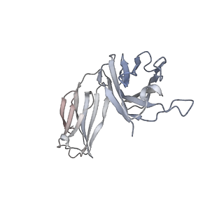 11174_6zdh_G_v1-0
SARS-CoV-2 Spike glycoprotein in complex with a neutralizing antibody EY6A Fab