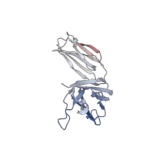 11174_6zdh_H_v1-0
SARS-CoV-2 Spike glycoprotein in complex with a neutralizing antibody EY6A Fab