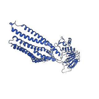 14636_7zd5_C_v1-1
IF(apo/as isolated) conformation of CydDC (Dataset-1)