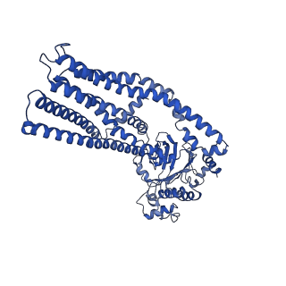 14636_7zd5_D_v1-1
IF(apo/as isolated) conformation of CydDC (Dataset-1)