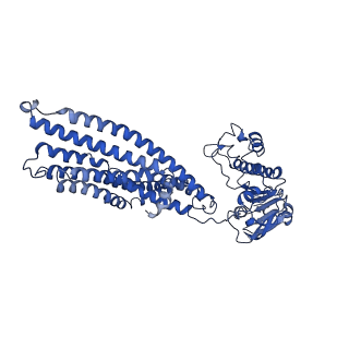 14642_7zdc_C_v1-1
IF(heme/confined) conformation of CydDC in ADP(CydD) bound state (Dataset-3)