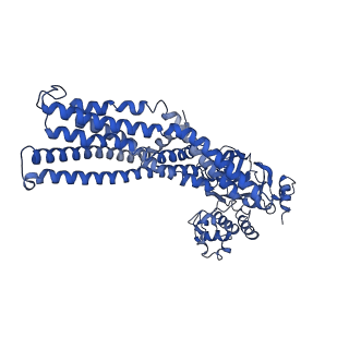 14642_7zdc_D_v1-1
IF(heme/confined) conformation of CydDC in ADP(CydD) bound state (Dataset-3)