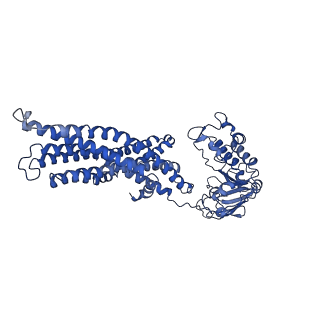 14644_7zdf_C_v1-1
IF(heme/confined) conformation of CydDC in AMP-PNP(CydD) bound state (Dataset-4)