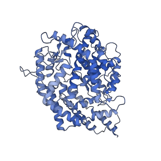 14666_7zdq_A_v1-2
Cryo-EM structure of Human ACE2 bound to a high-affinity SARS CoV-2 mutant
