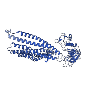 14667_7zdr_C_v1-1
IF(apo/as isolated) conformation of CydDC mutant (H85A.C) in AMP-PNP(CydD) bound state (Dataset-16)