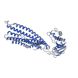 14668_7zds_C_v1-1
IF(apo/as isolated) conformation of CydDC mutant (E500Q.C) (Dataset-18)